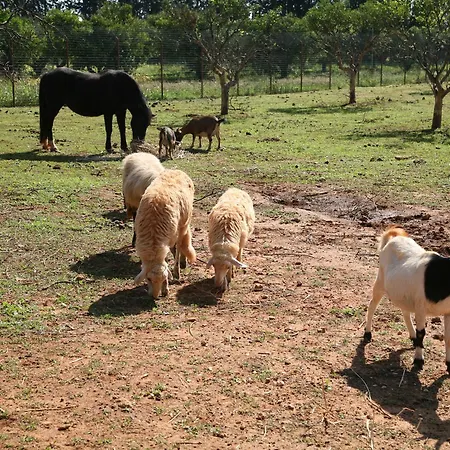 Hotel Di Latomie Castelvetrano